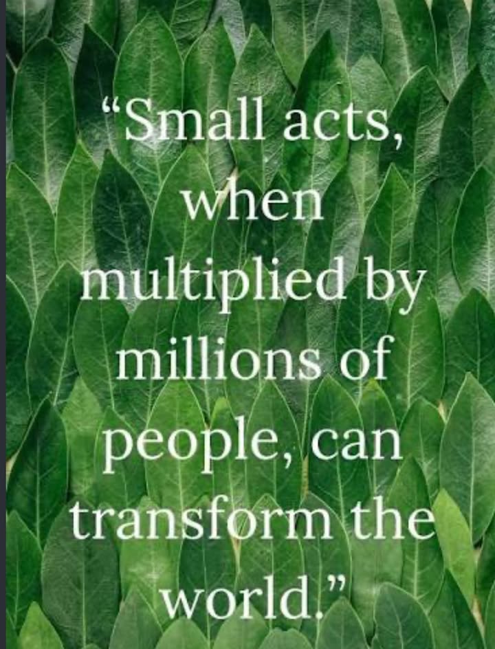 Fresh Outlook Foundation